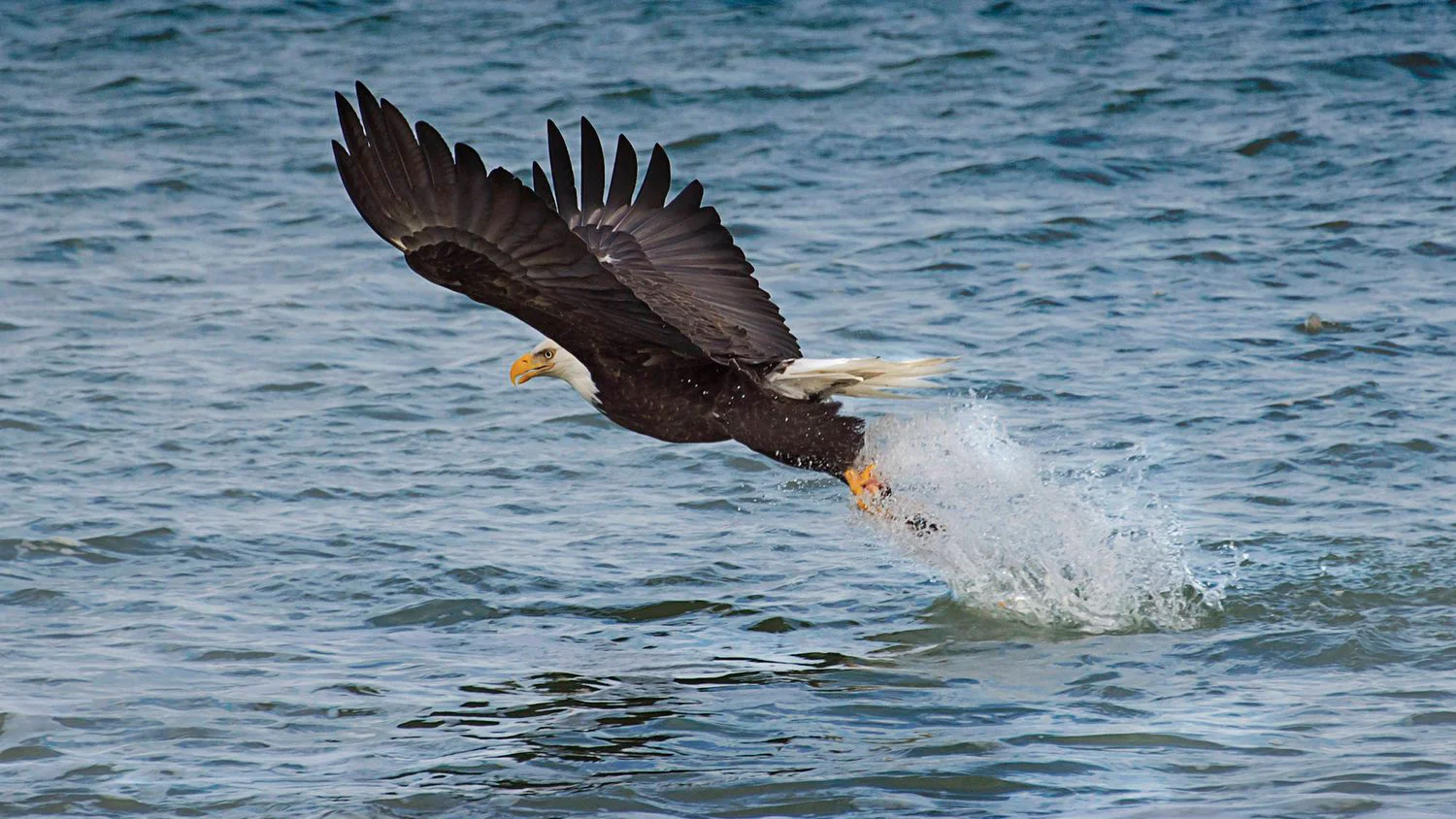 When is the best time to visit Haida Gwaii?